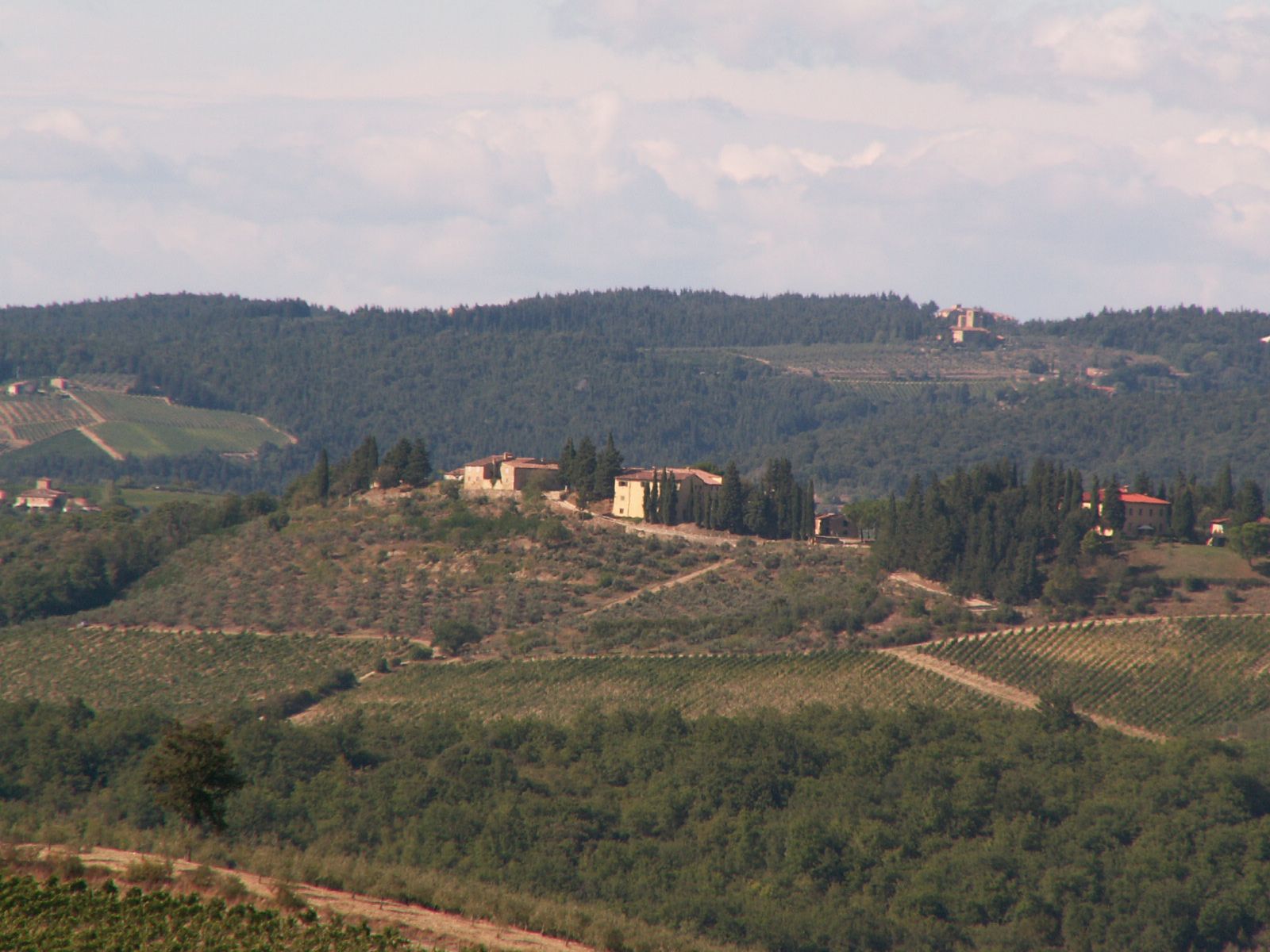 near Villa Trasqua, Toscania